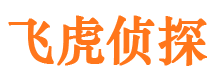 昂昂溪市调查公司